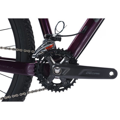29" Bicicleta de montaña de fibra de carbono con partes de corte Shimano 22s personalizable