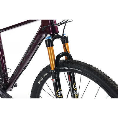 29" Bicicleta de montaña de fibra de carbono con partes de corte Shimano 22s personalizable